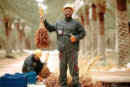 Munkavédelmi ruhában dolgozó férfi pálmafa ültetvényen